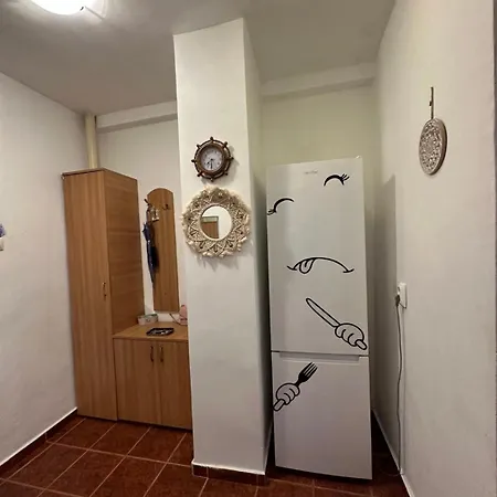 Vintage Apartament *